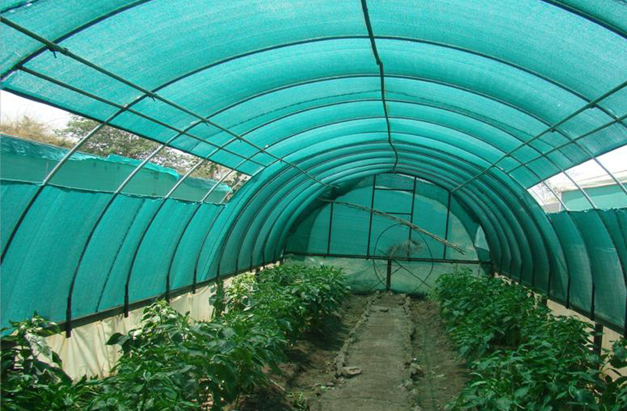 agriculture safety nets in hyderabad