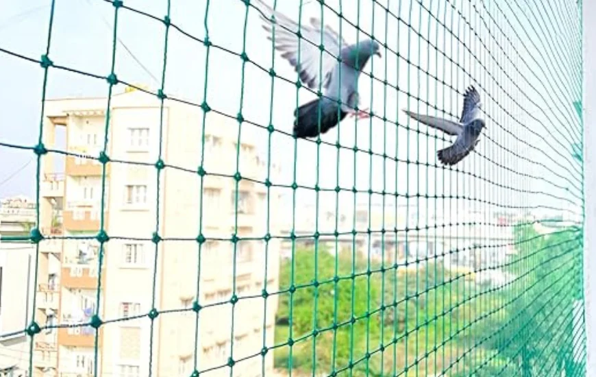 top and best birds safety nets in hyderabad
