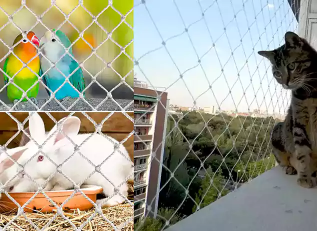 bird safety net installation in hyderabad