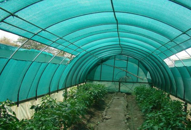 agro-shade-net agriculture safety nets in hyderabad