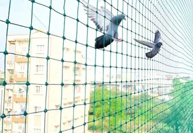 birds safety nets best pigeon safety net in hyderabad